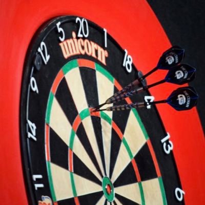 TheDartsTips1's profile picture. world class darts tips 🎯 #TheDartsTips