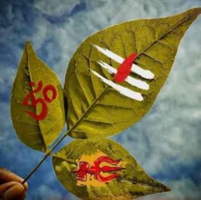 amitnavneet's profile picture. i m a cool boy and live in a small village. i m complete my study m.sc with math and want to complete p.hd with math......