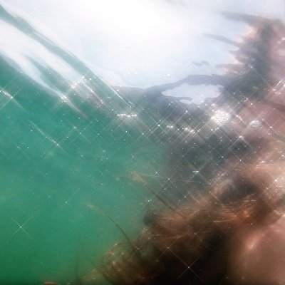 Mackinziespaz's profile picture. "Sana me videre potest," 🎨✍️💌🔥