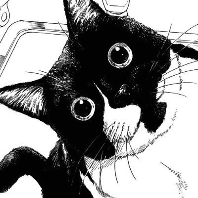 Auregazir's profile picture. 27 💻 Computer engineer based in Italy. I'm interested in software and game development 🐱🎮  Switch Friend Code: SW-5947-3761-4397