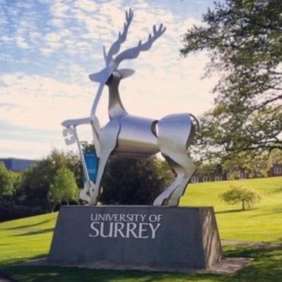 Twitter account for the Psychology Foundation Year programme @SurreyPsych @UniOfSurrey.