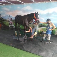 stud la gran fortaleza (@studlafortaleza) 's Twitter Profile