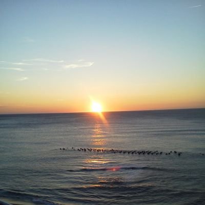 oEV7QMN7wtxaATC's profile picture. 