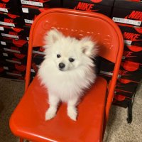 Limited Lifestyle (@limtdlifestyle) 's Twitter Profile Photo