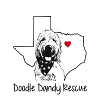 Doodle Dandy Rescue(@RescueDandy) 's Twitter Profile Photo