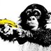 MonkeyWithGuns (@dpsmonkey) Twitter profile photo MonkeyWithGuns (@dpsmonkey) Twitter profile photo
