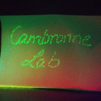 ClubCambronne (@cambronnelab) 's Twitter Profile