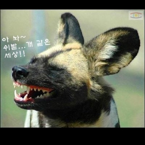 흐르는 시간..