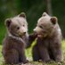 Glenburnie Kindergarten (@glenbk1_ldsb) Twitter profile photo Glenburnie Kindergarten (@glenbk1_ldsb) Twitter profile photo