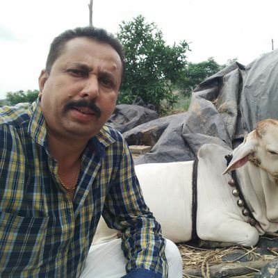 SEETHARAMU16's profile picture. 