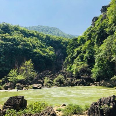 jsy113's profile picture. 爱胡说八道