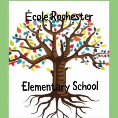 Rochester Elementary 43