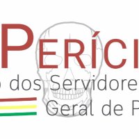 Sindiperícias Rio G Sul