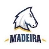 Madeira Soccer (@madeirasoccer) 's Twitter Profile