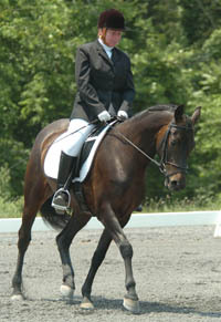 MorganHorses's profile picture. 