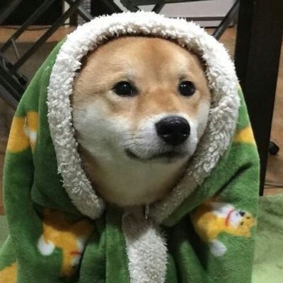 progressivisms's profile picture. 23•He/It•🔯•having a good time
🩷 @butchfinalboy 🩷