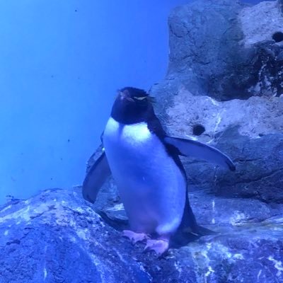 藤さんさんのプロフィール画像