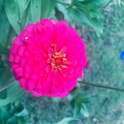 Katelyn17396048's profile picture. 🧡 OPS🧡💜 🦅. BLM ✊🏿. Be kind ❤️