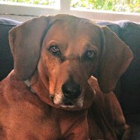 Ann Joness (@joness_ann) 's Twitter Profile