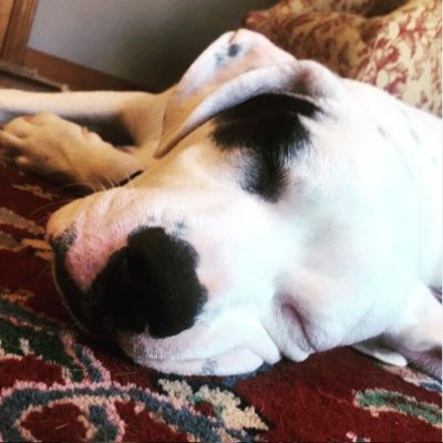 kelan_henderson's profile picture. 