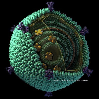 An Online Seminar Series about Mathematics, Algorithms, and Computational Methods in Cryo-EM. Updated by @roylederman .