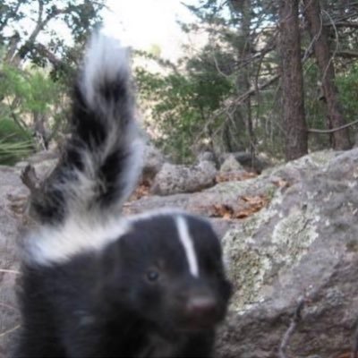 crunchbready's profile picture. hater