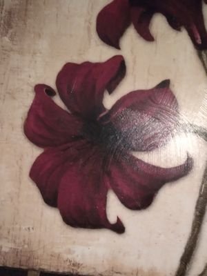 phoenacia's profile picture. Just love life