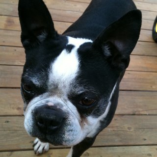 lebutthead's profile picture. Just your average father, husband, programmer, crusher of dreams, cyclist, chronic nose picker, and dishwasher. My ego may its own zip code.