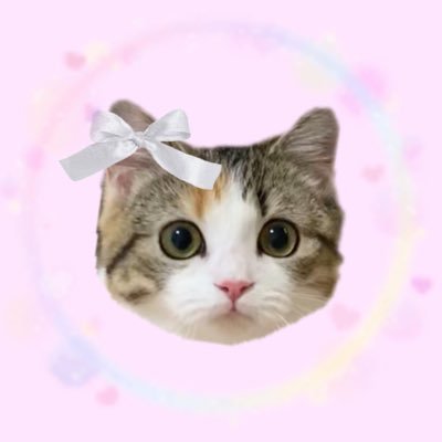 りん:ミヌエット♀ 2020.2.27🎂|もち:マンチカン♂ 2019.6.12🎂|フォロー・いいね ありがとうございます✨YouTubeも遊びにきてください🐱🎬