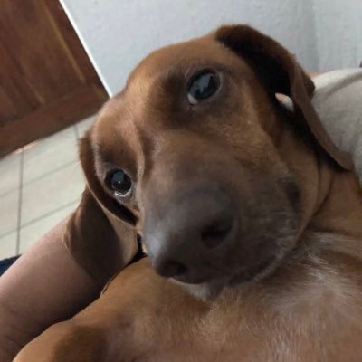 PROSHOFI's profile picture. 