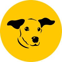 Dogs Trust Leeds (@dt_leeds) 's Twitter Profile