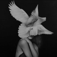 Rahaf (@rahafmonif) 's Twitter Profile