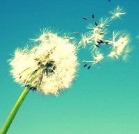 AgreeThenRT's profile picture. We post quotes and other tweets that are super relatable! You agree? Then RT!