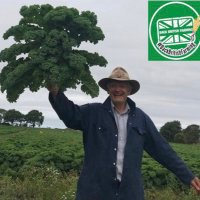 Christopher Molyneux (@kalegrower) 's Twitter Profile