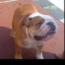 Dan Larimore - @ddiddydandan - Twitter