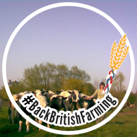 Ivyfarmbandb (@ivyfarmbandb) 's Twitter Profile