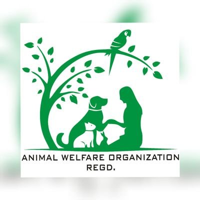 ANIMAL WELFARE ORGANIZATION (@animalwefareorg) / Twitter