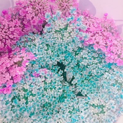 yopp6's profile picture. 