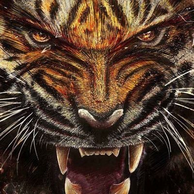موجب جاد الشرايع مخطط 5 بجوار أوسكار البويات كاش
السالب الممحون يجي على الوتس اب
انا الان ابحث عن سالب جاد