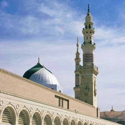 koko8000's profile picture. 