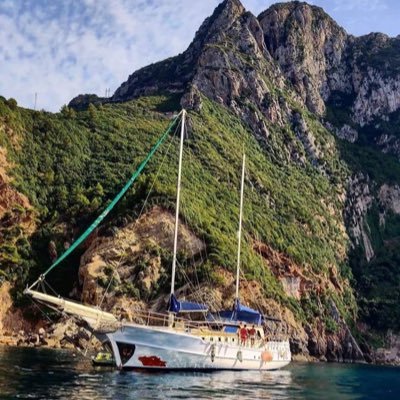 sofi_challe's profile picture. 