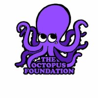 The Octopus Foundation(@OctopusFound) 's Twitter Profile Photo