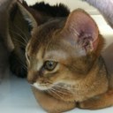 Daisuke matsuoka - @MonkeywaveZ - Twitter