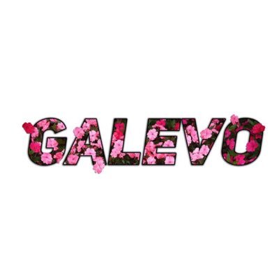 galevo.id