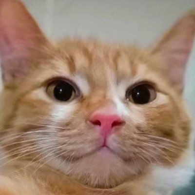 ð§ðŧ āļāļđāđāļāļēāļĒāđāļĄāđāļāđāļāļāļāļąāļāļĄāļēāļāļ°āļāļĢāļąāļ !!!!