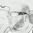 JulianCashflow's profile image