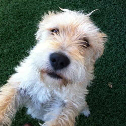 THE_McGEE's profile picture. 