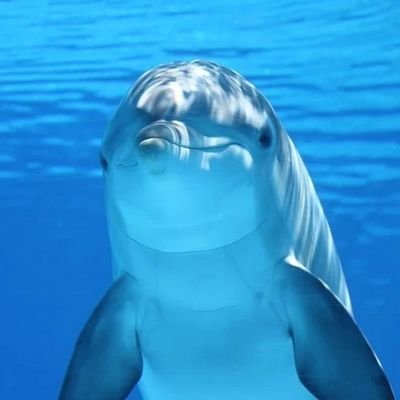 @243activetarget