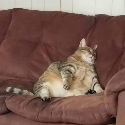 Spacebabybgm's profile picture.