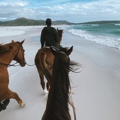 SH000GY's profile picture. ‏‏‏‏‏..